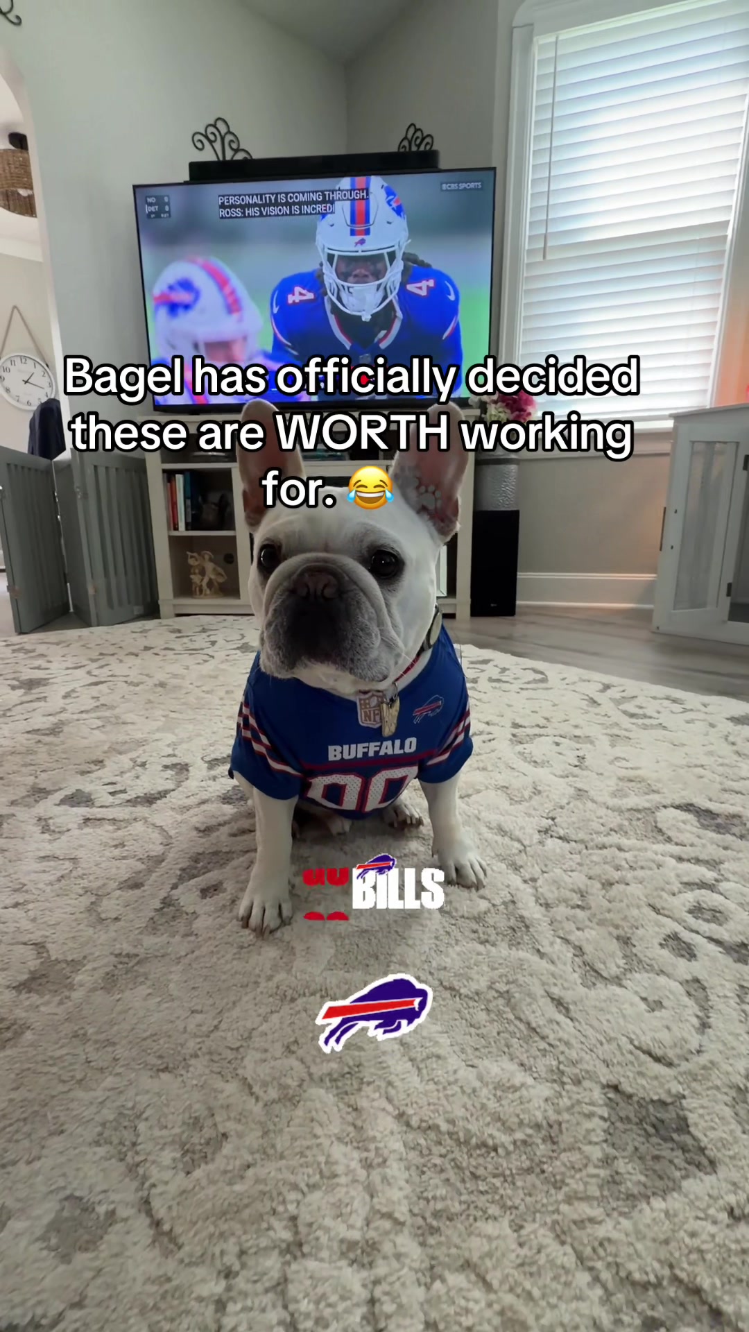 @Bagel the OG Frenchie