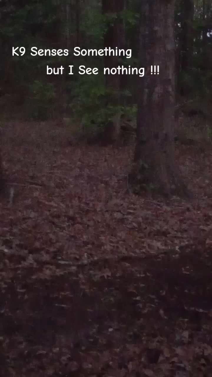 @Randomseekz