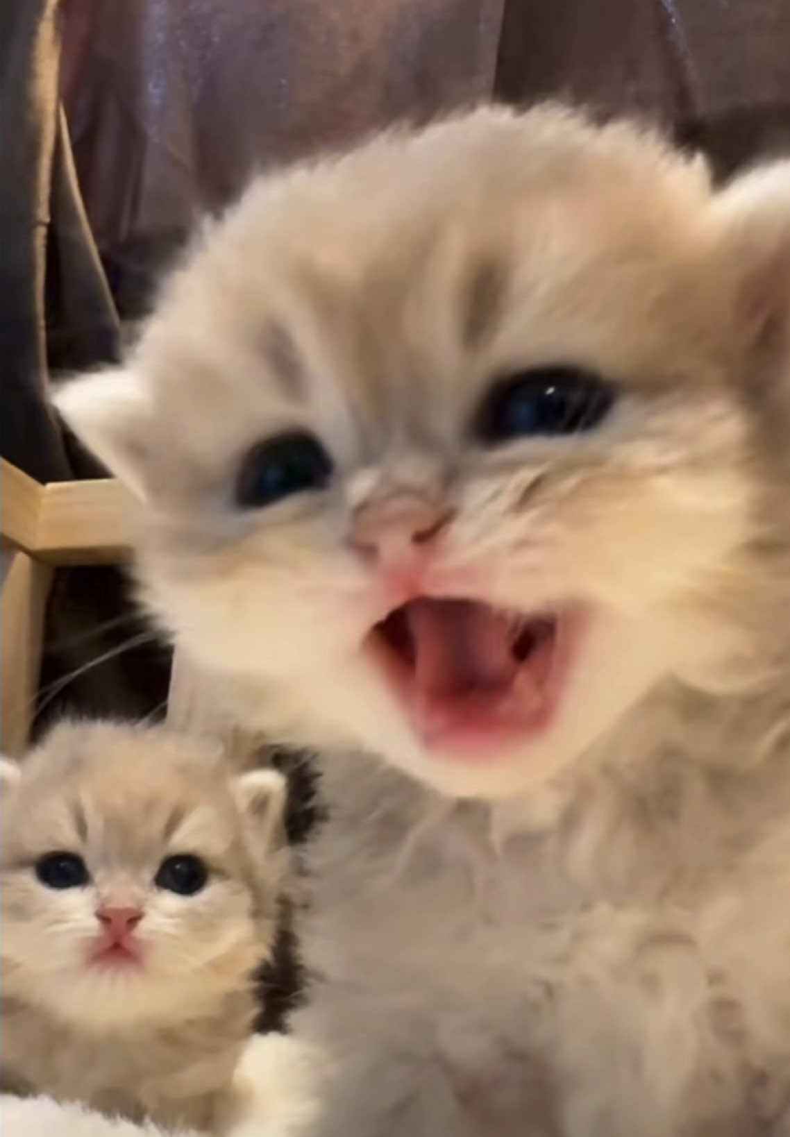 @ViralPick