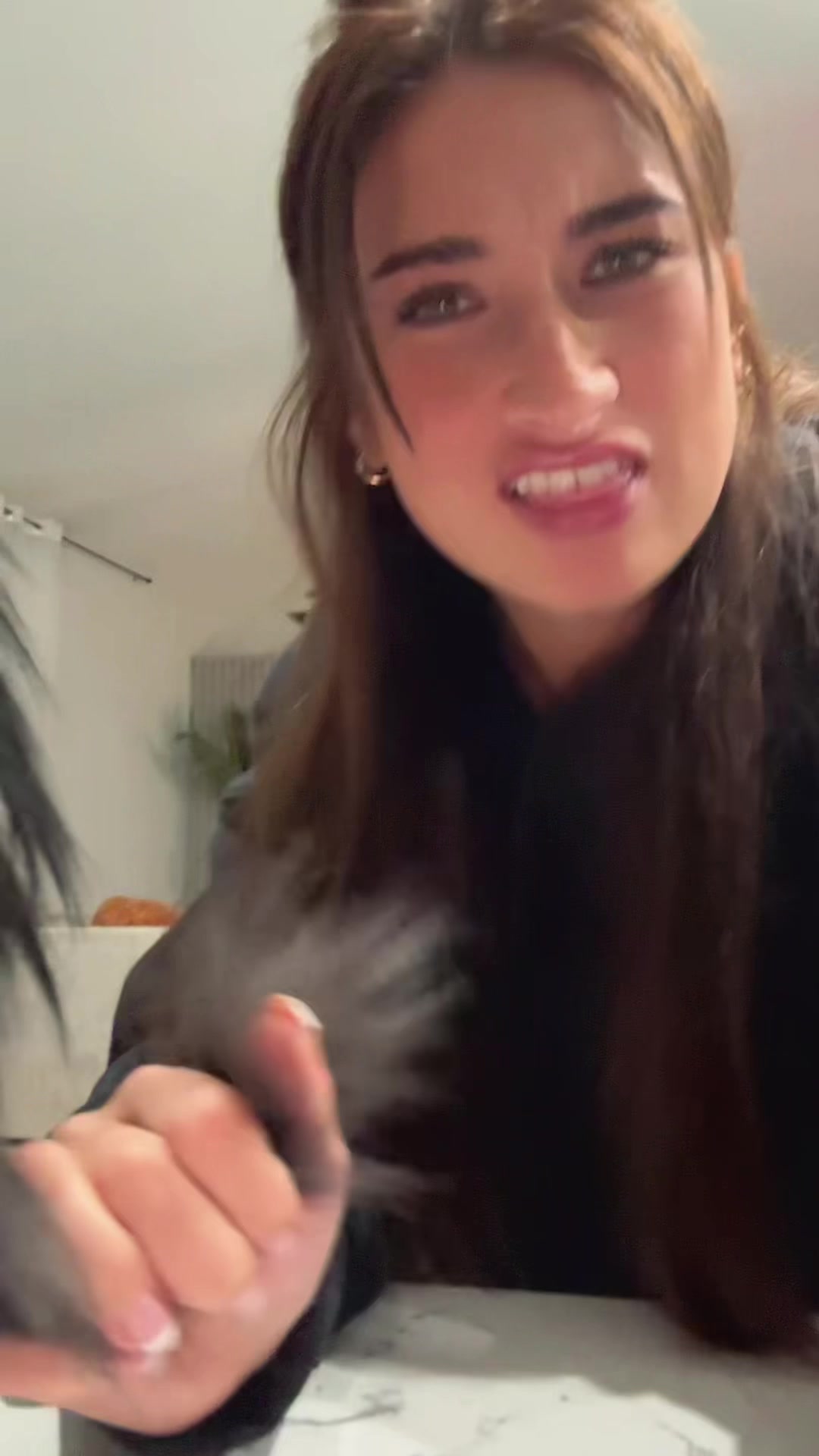 @han 2.0