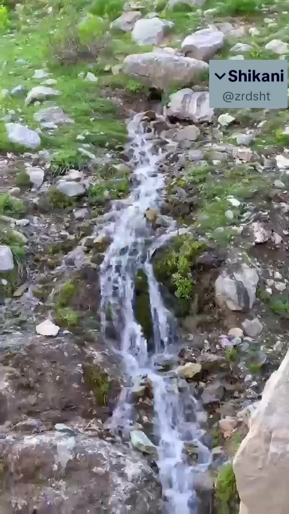 @Shexani