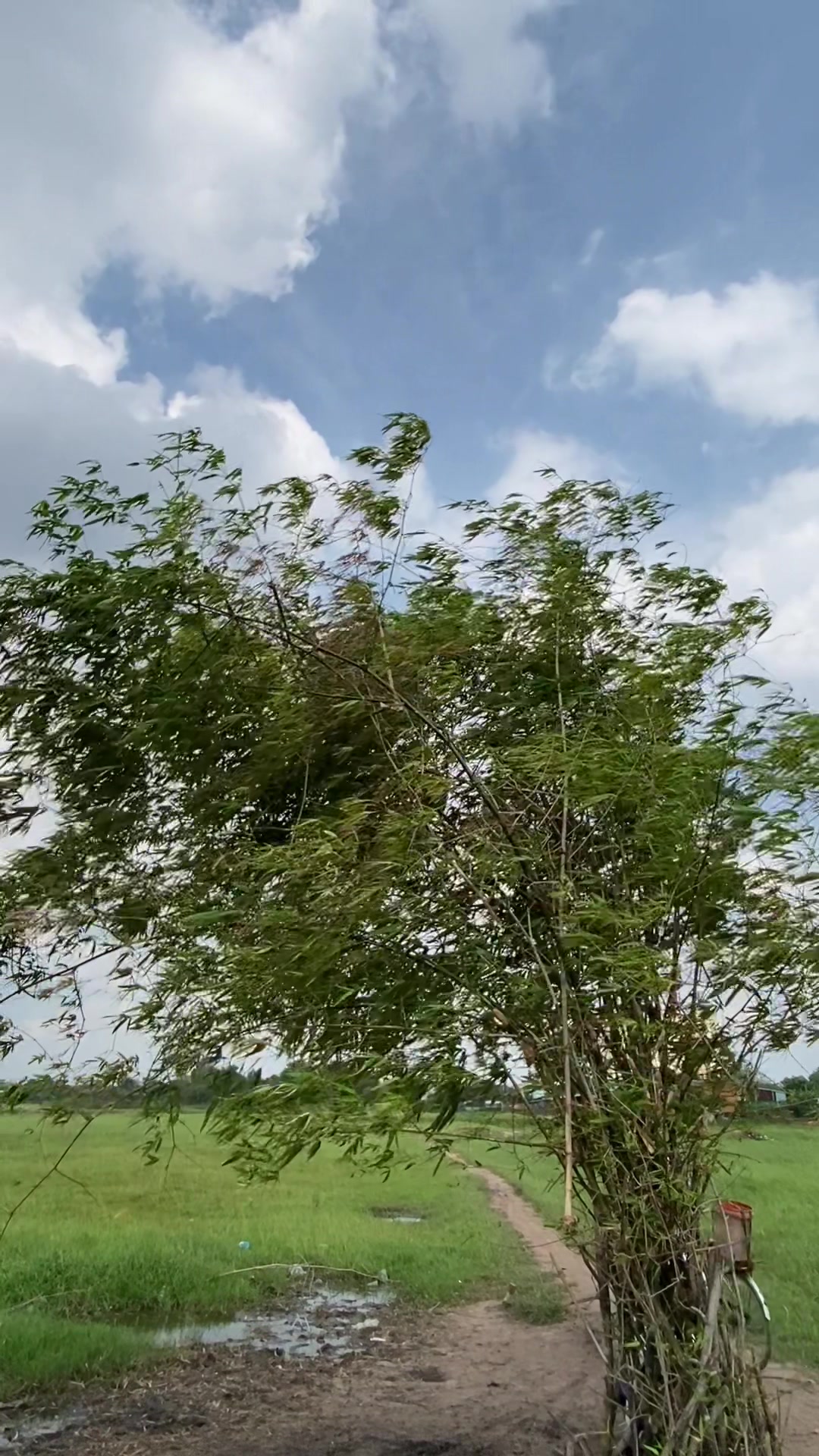 @Thả diều cùng Lợi