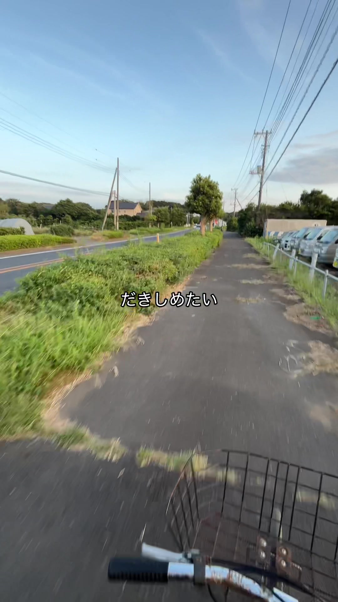 @ダラー