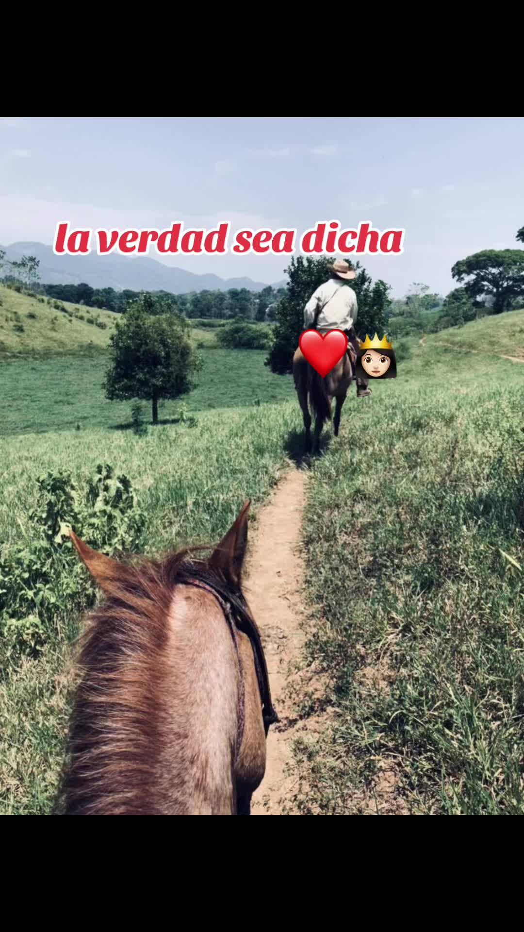 @Erwin Pérez 🐎🤠✨