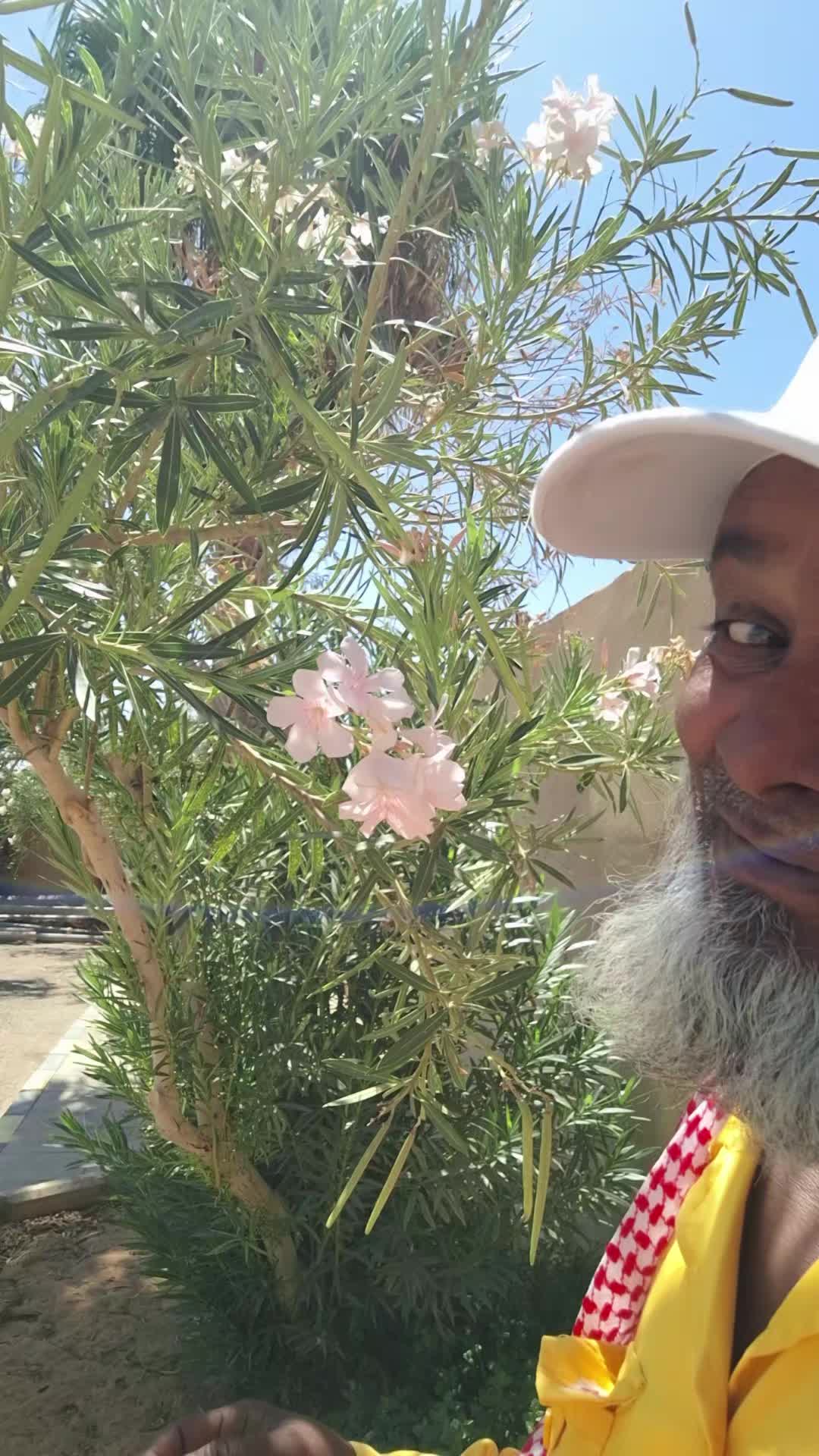 @Rajjak999