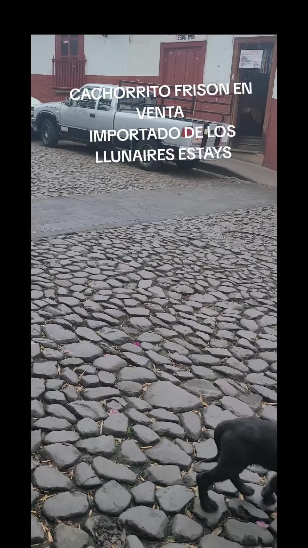 @RANCHOROSAS