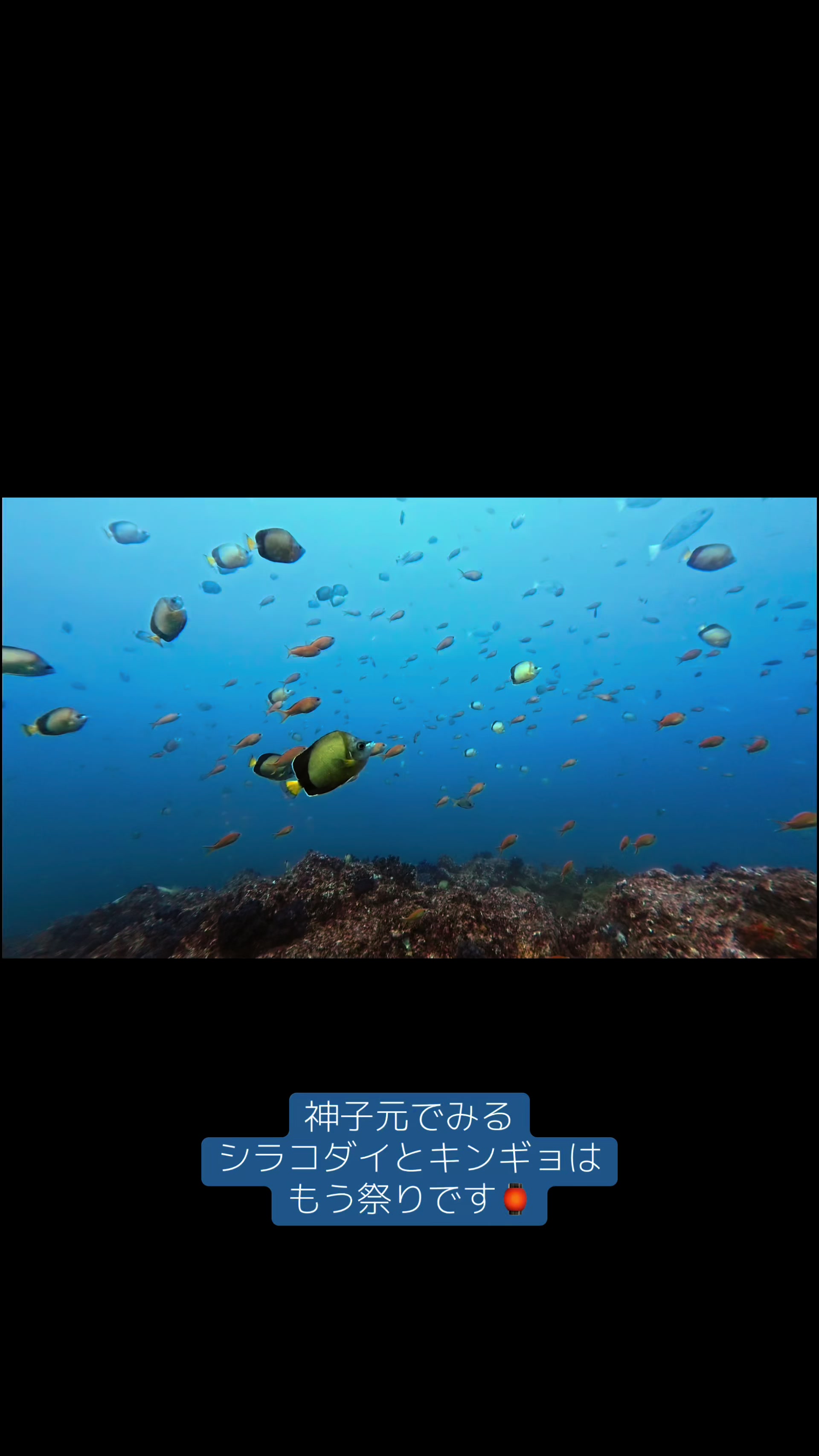 @aya 海と美容と日常𓇼𓆡𓆉 ⋆
