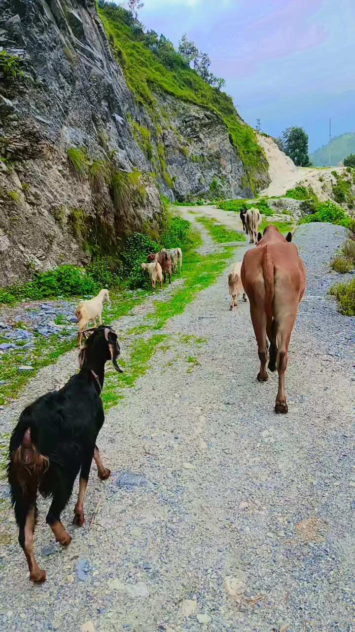 @डाँडाको बतास