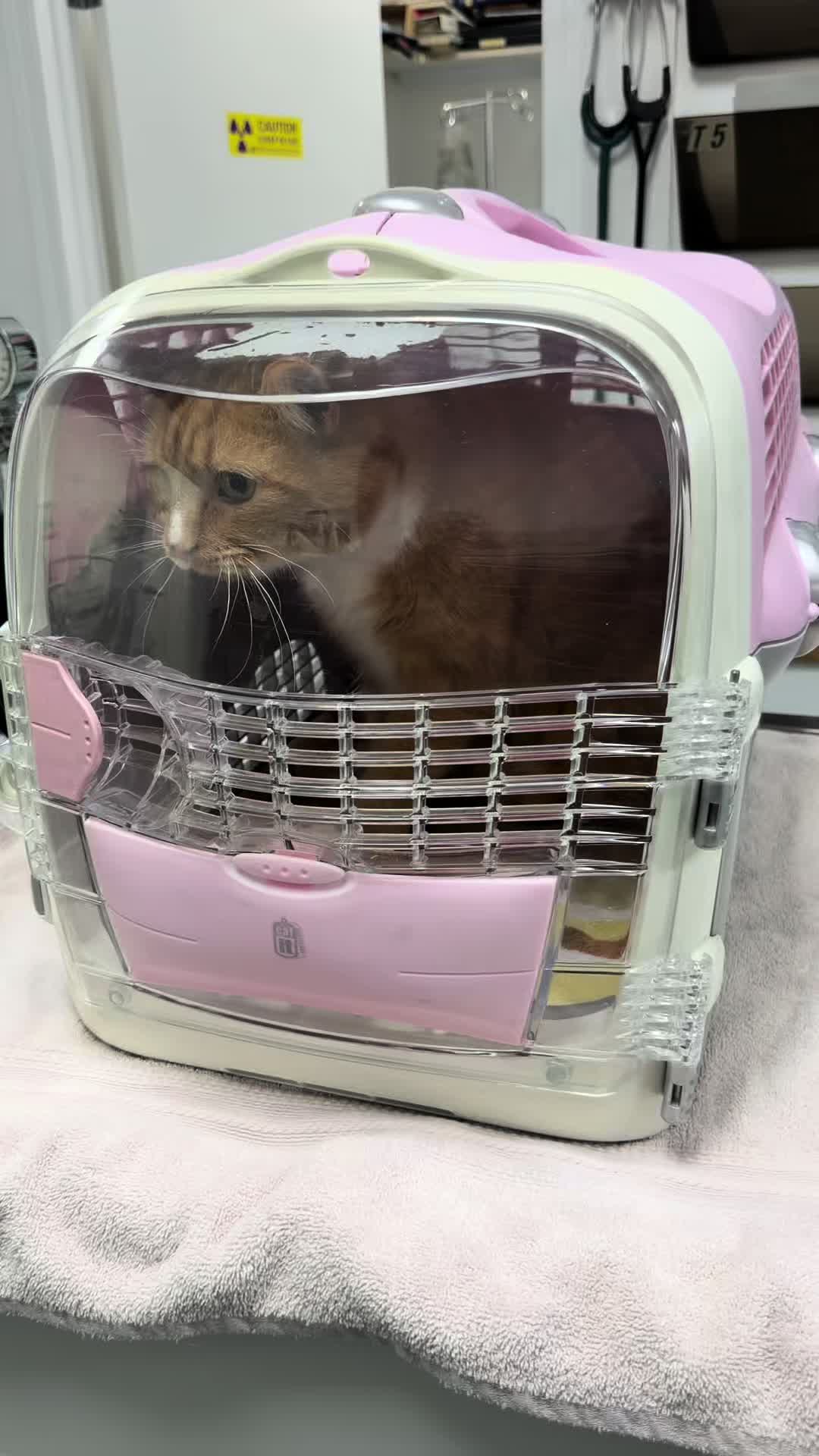 @ArlingtonAnimalHospitalsk