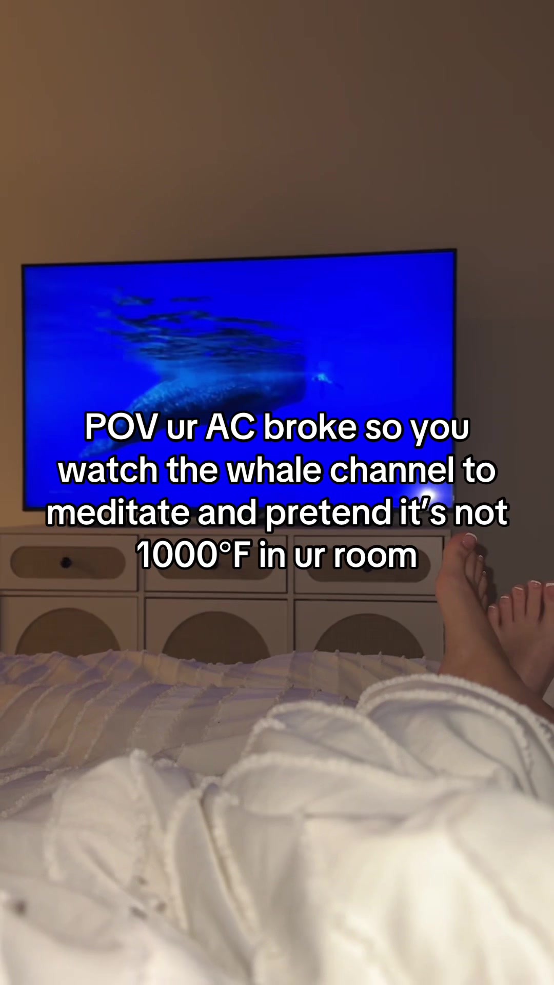 @Shelly