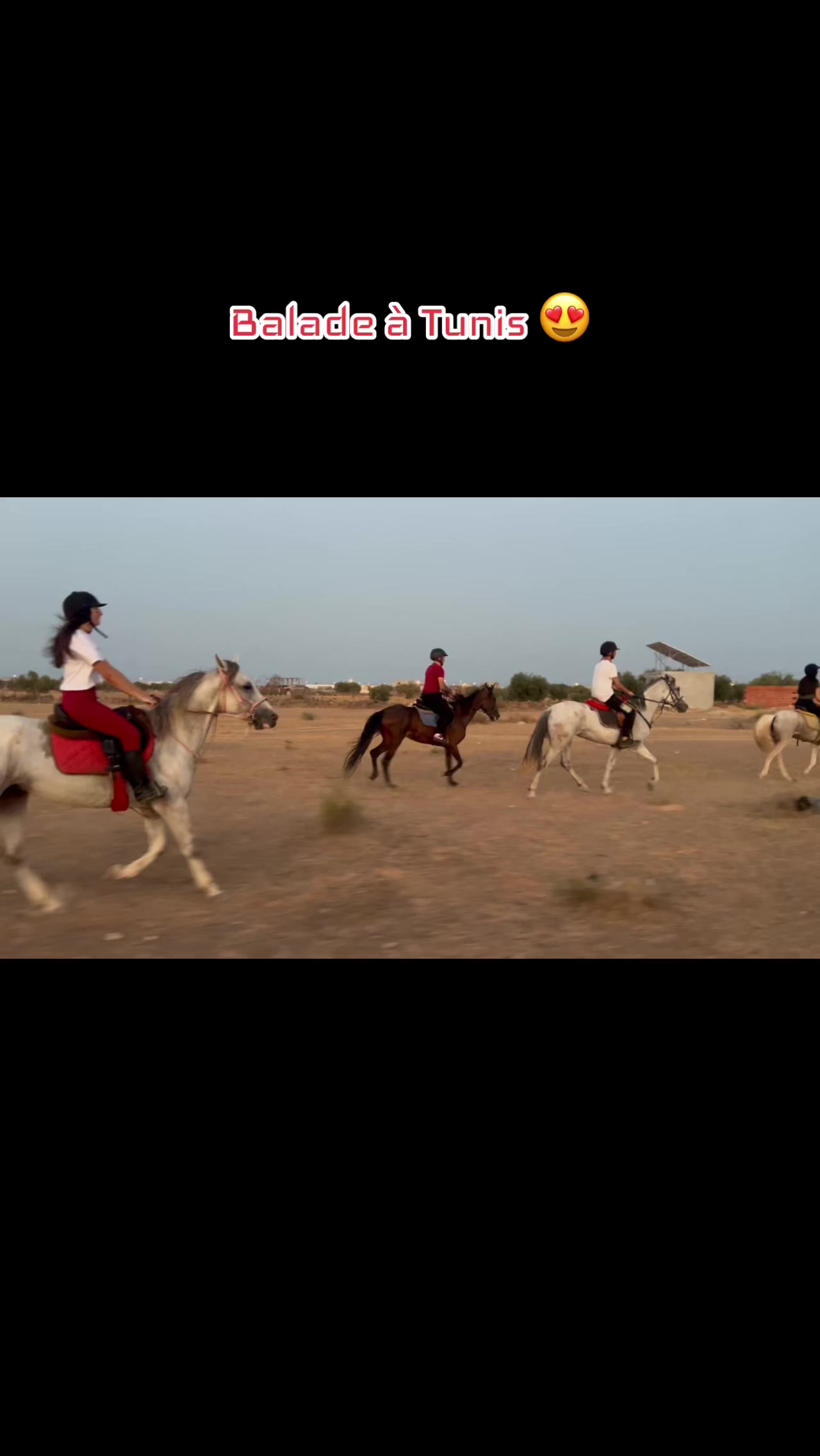 @Feres Ben Amor 🏇