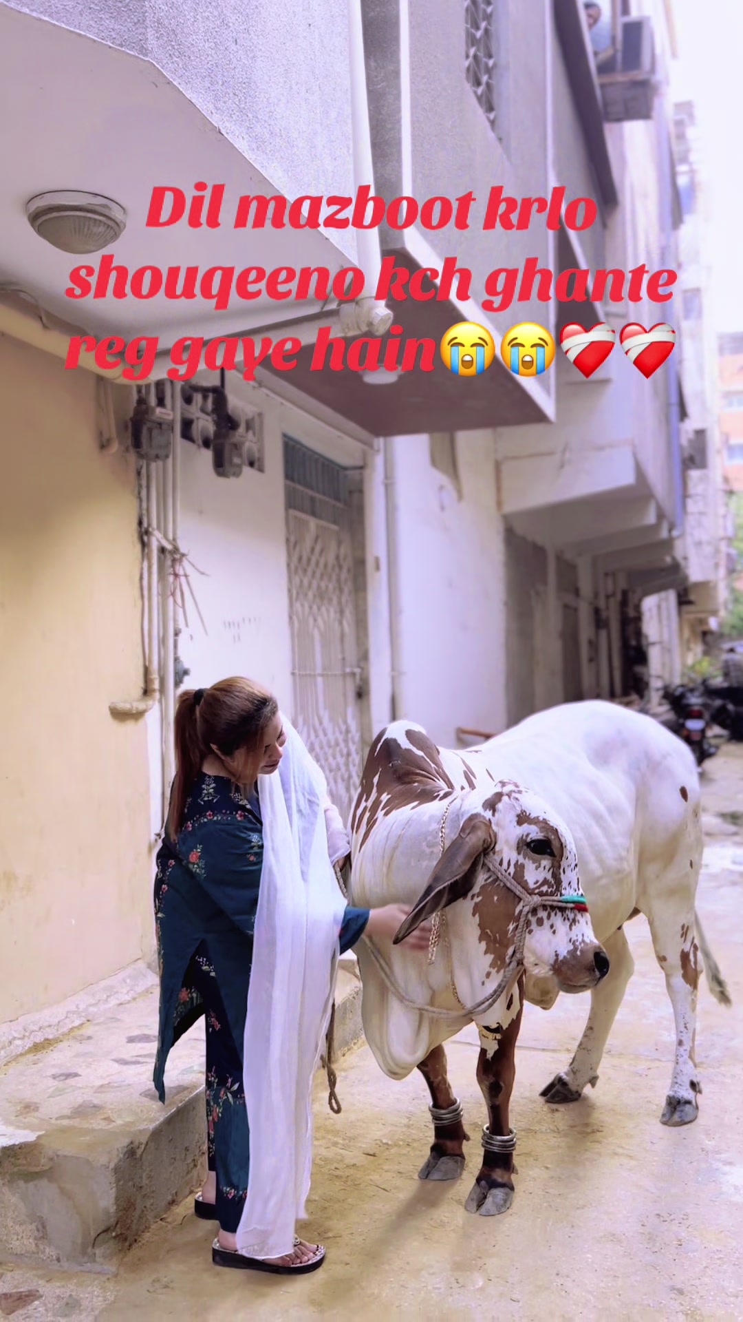 @nazmir