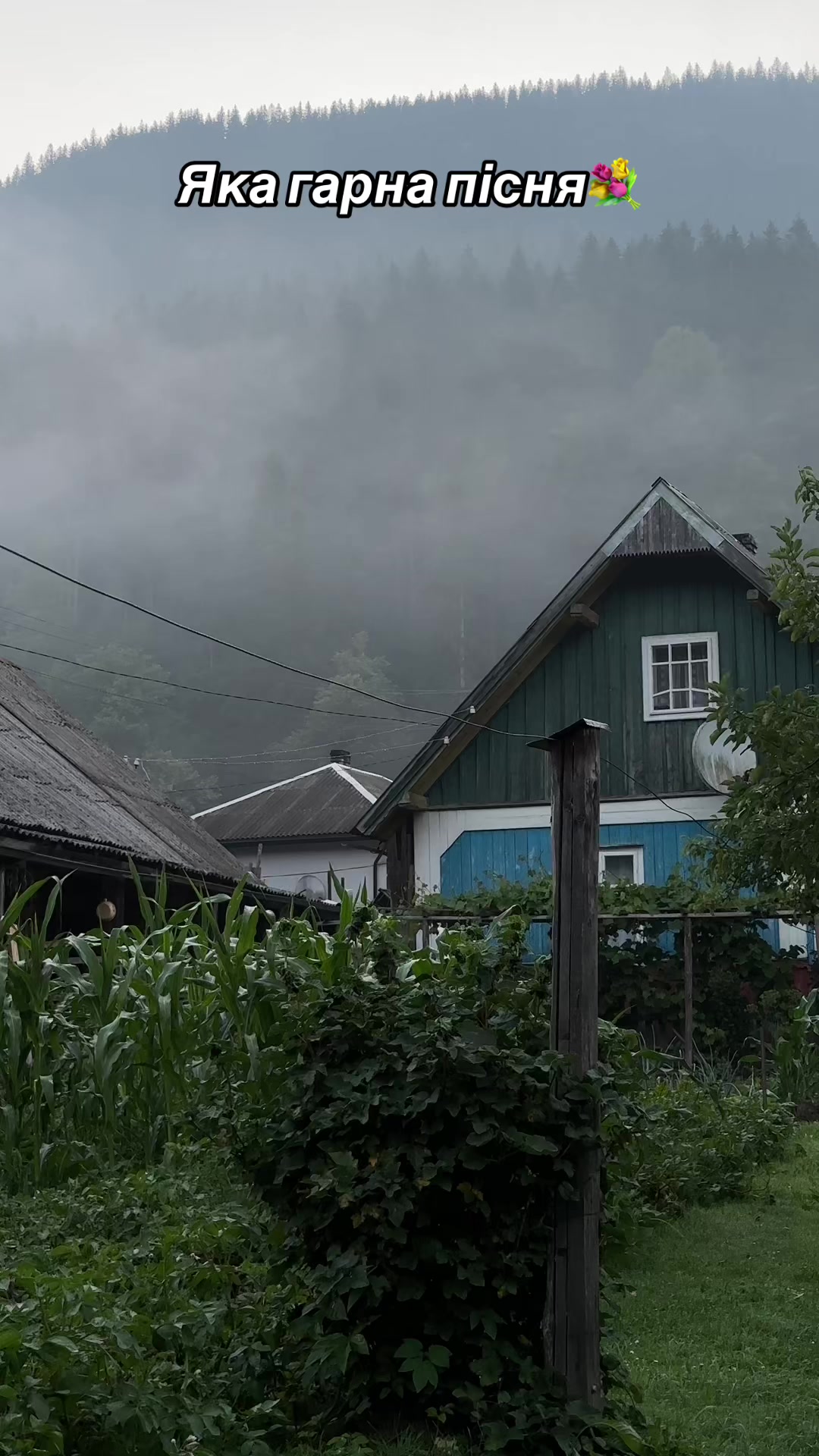 @Карпатський гуцул Любомир 2