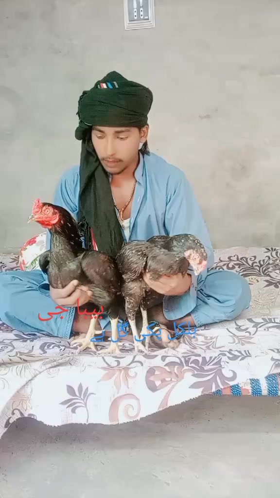 @بیبہ110🤕