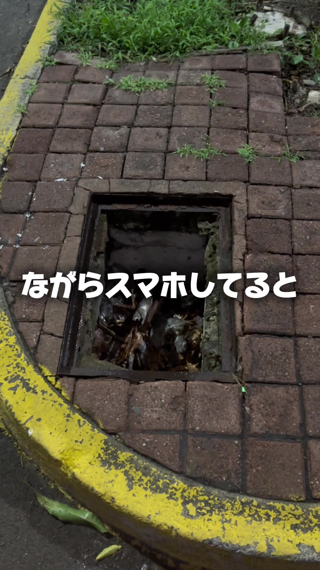 @しゅんぼーー