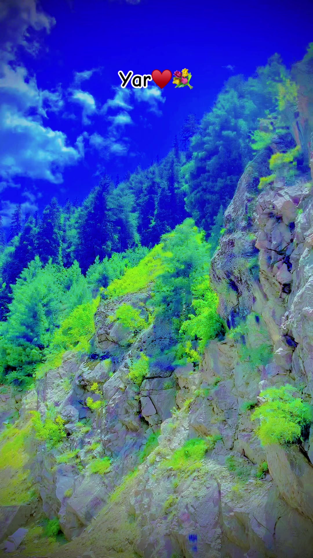 @نبیل راجپوت🔥