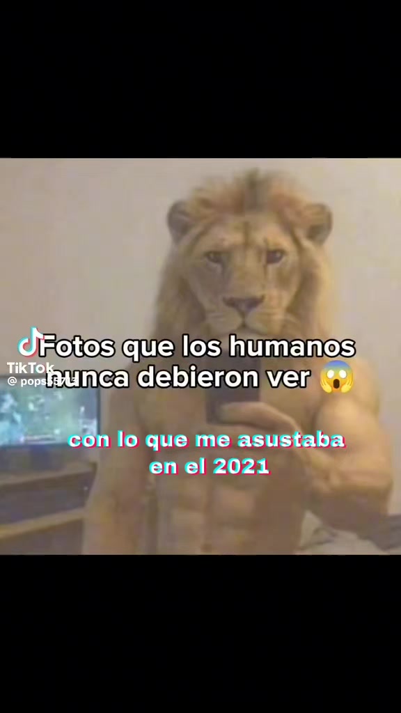 @aletiburon