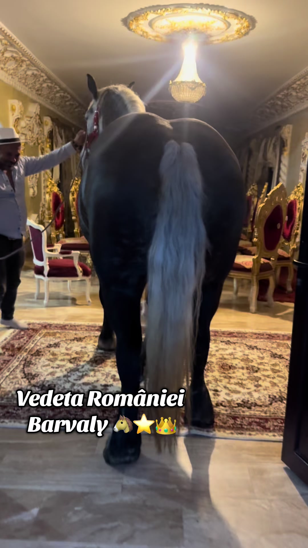 @🐴Spartanu🐴