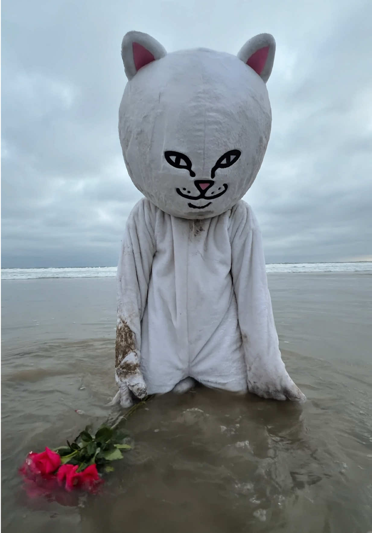 @RIPNDIP