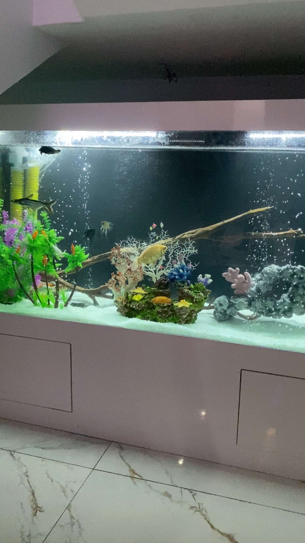 @fishtanks4u_