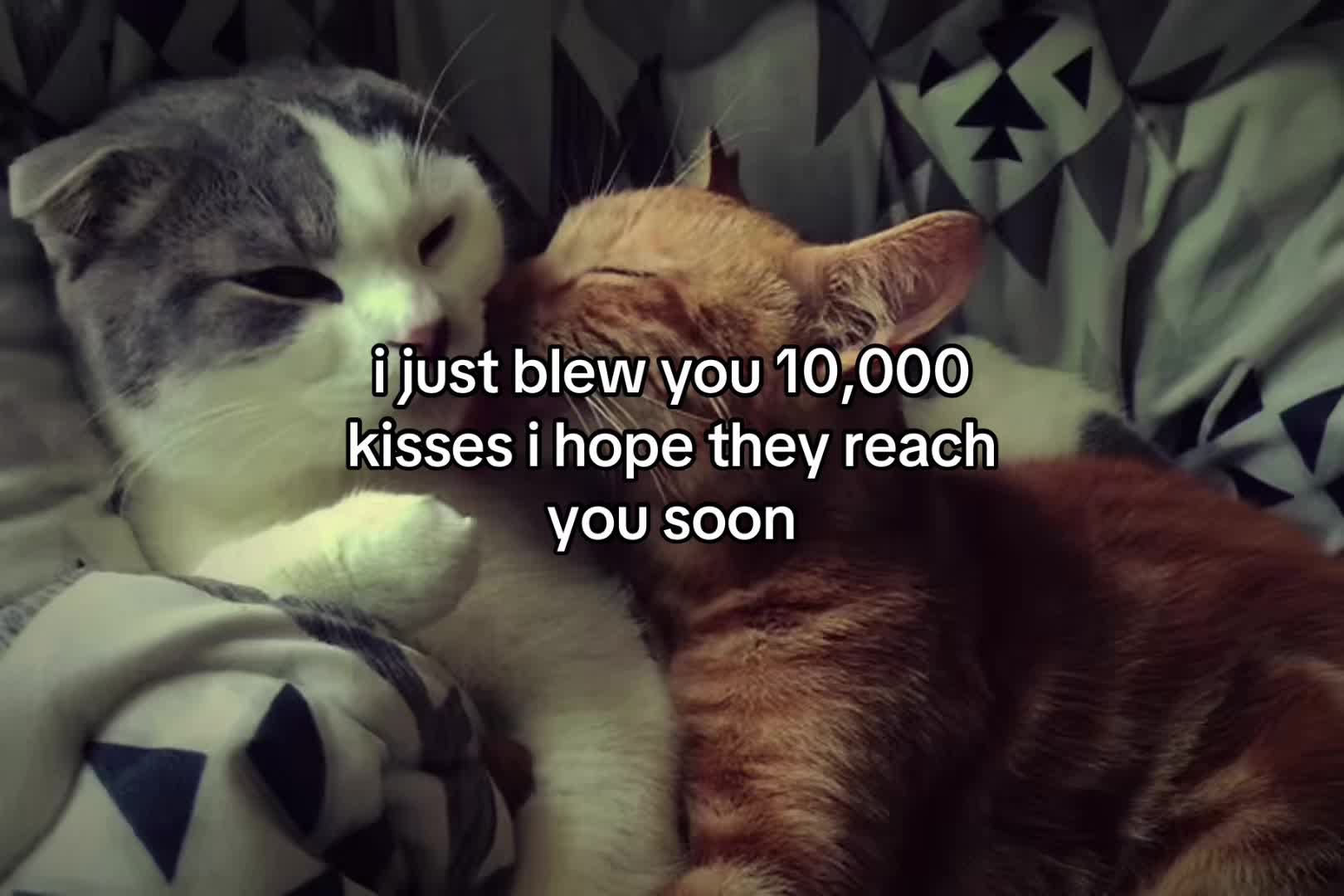 @sxalenz