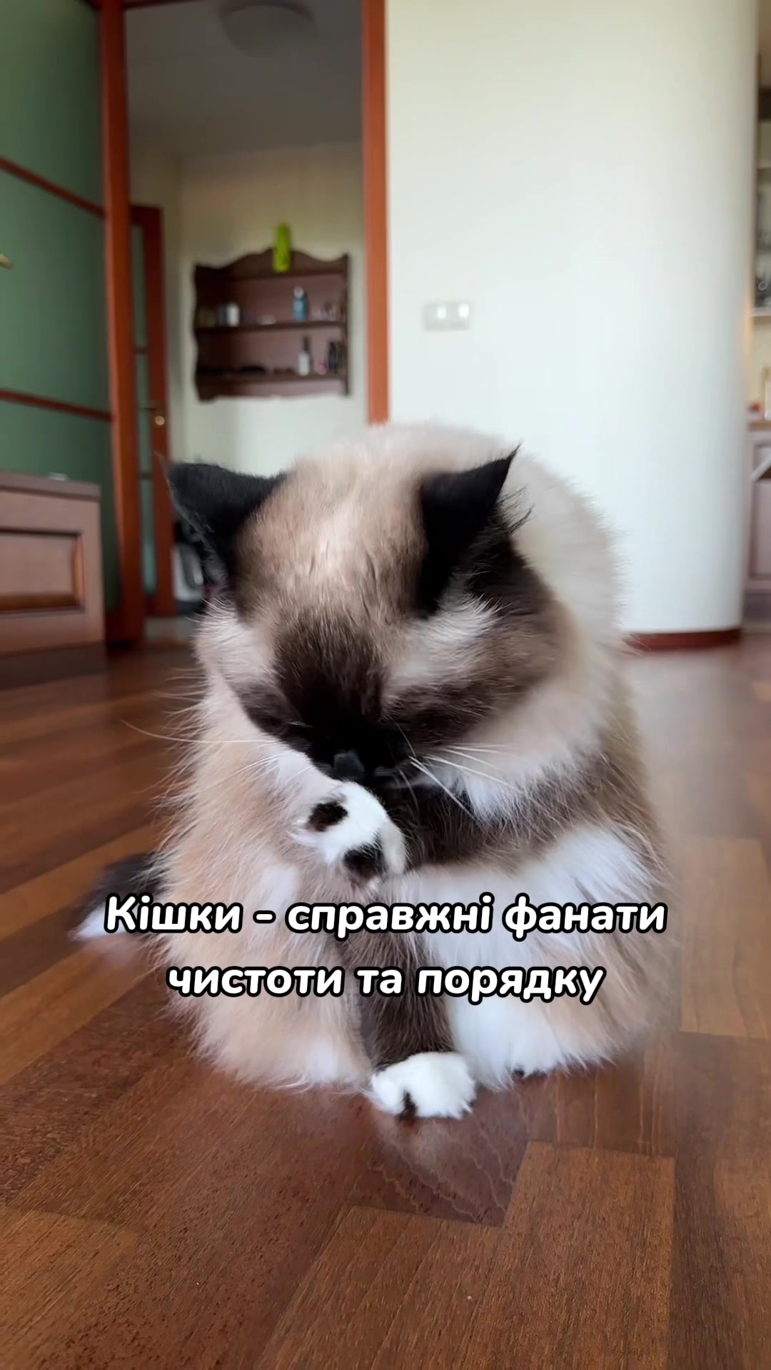 @Місс КІСЯ