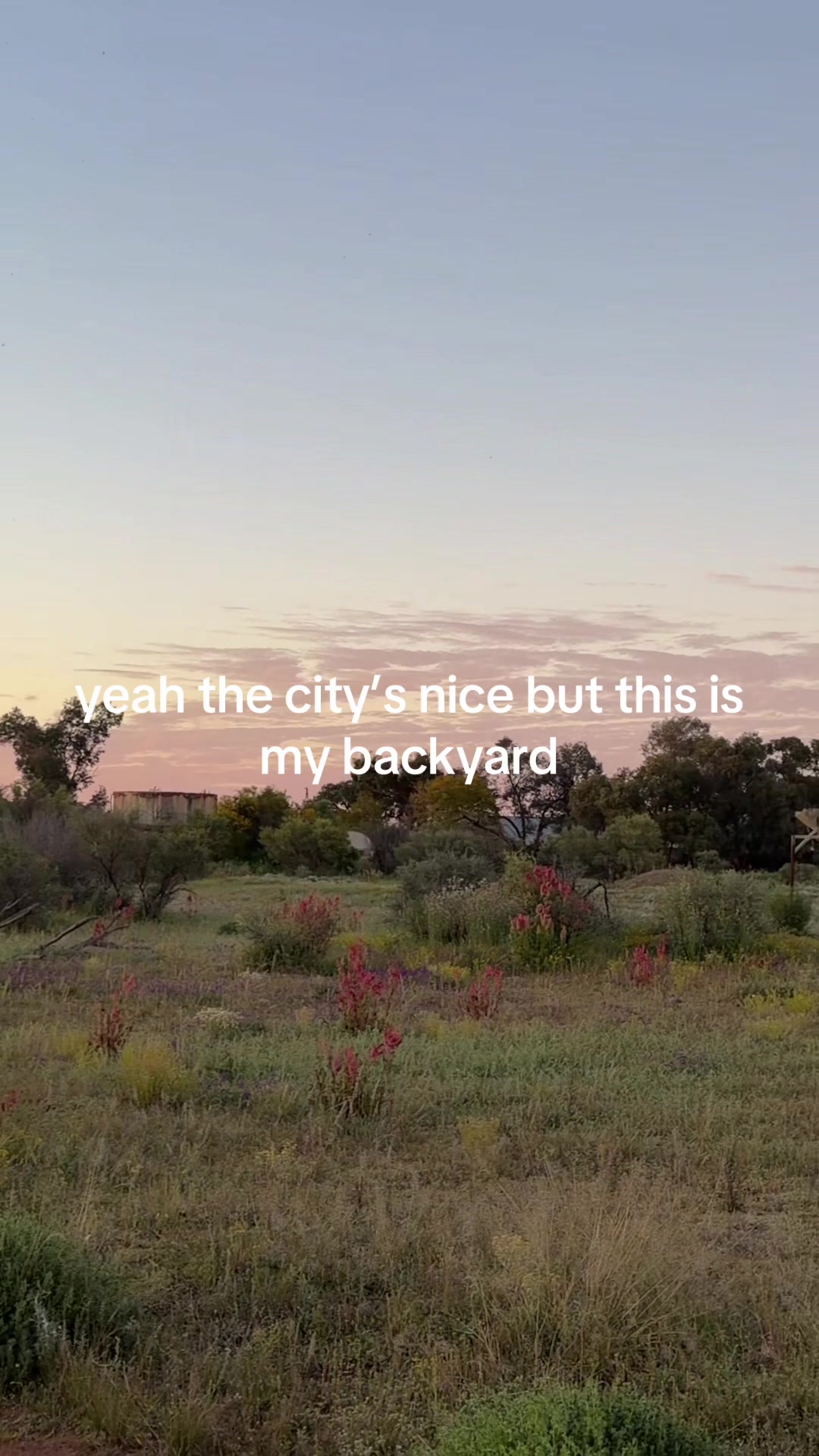 @lucegale