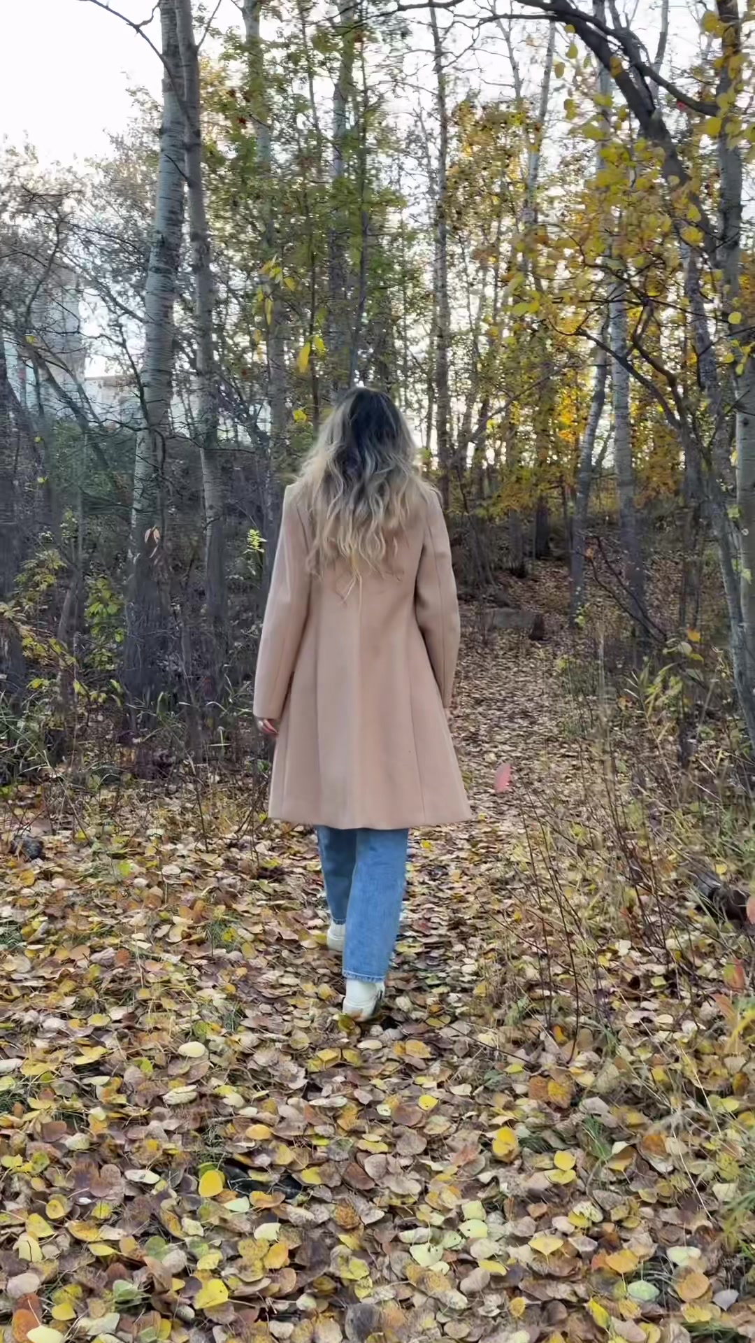 @Aya Talssi 👩&zwj;🎨