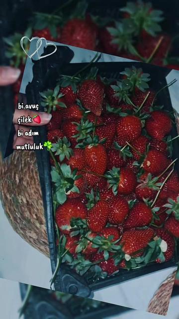 @♡𝑻𝒖𝒃𝒊
