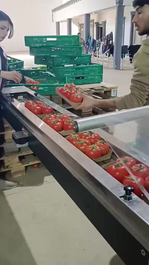 @★خـᬼ🇸🇾⑅⃝ـالد𓅇꙰᭄