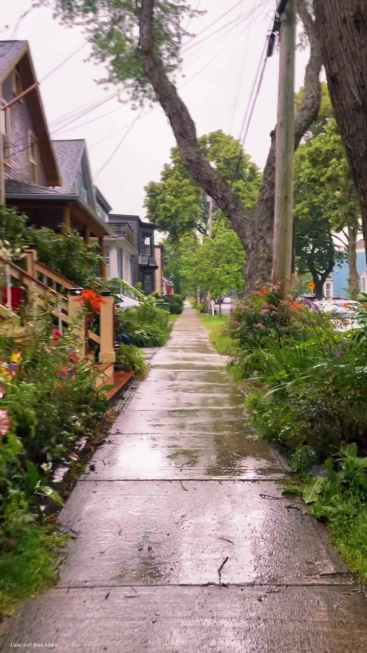 @Calm Soft Rain Audio