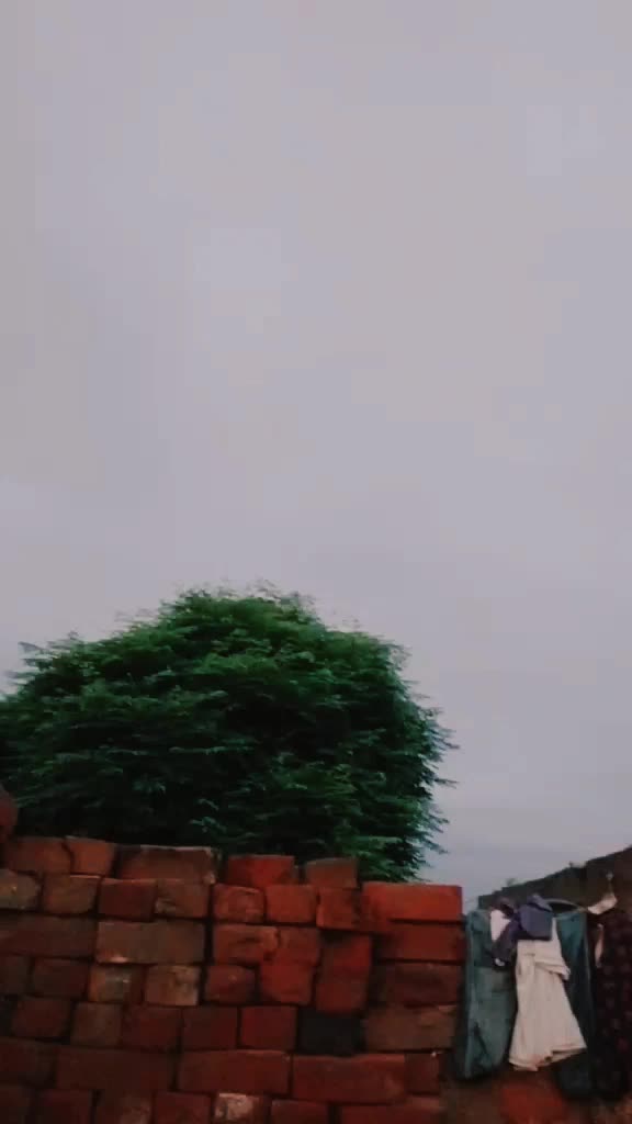 @❤️᭄Aʟɪᴢᴀ