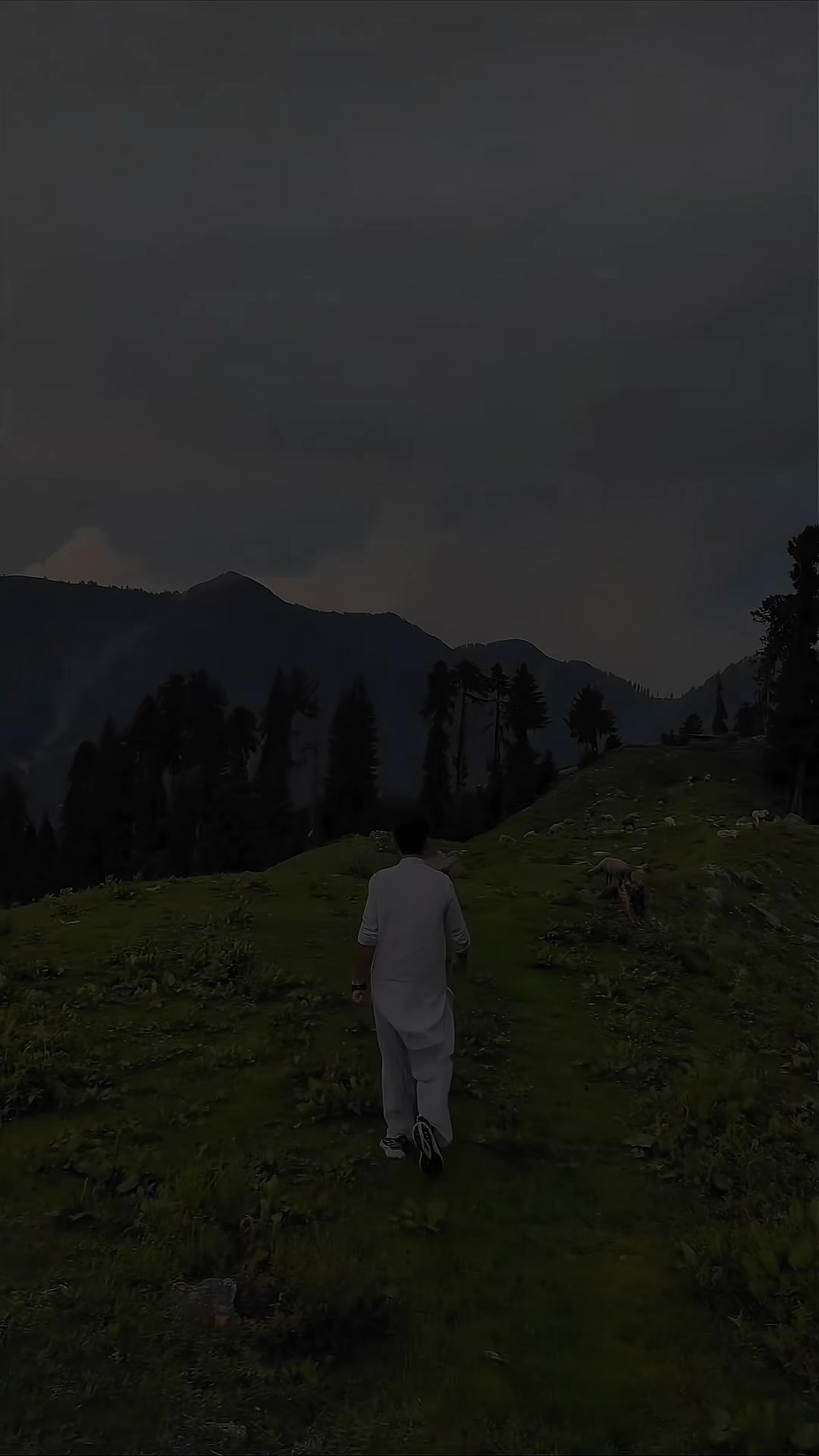 @It's Meer sajad 🔥
