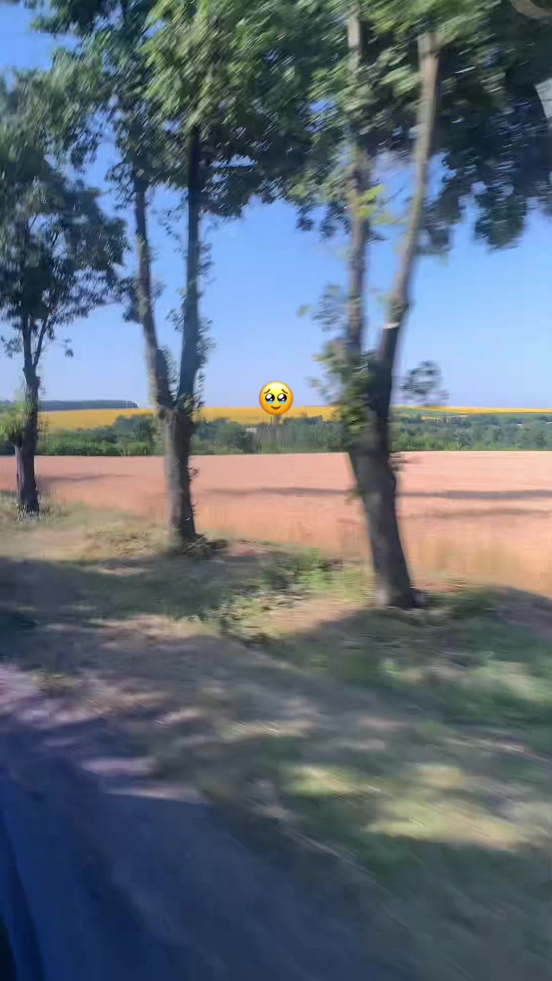@ll_eonidivna_
