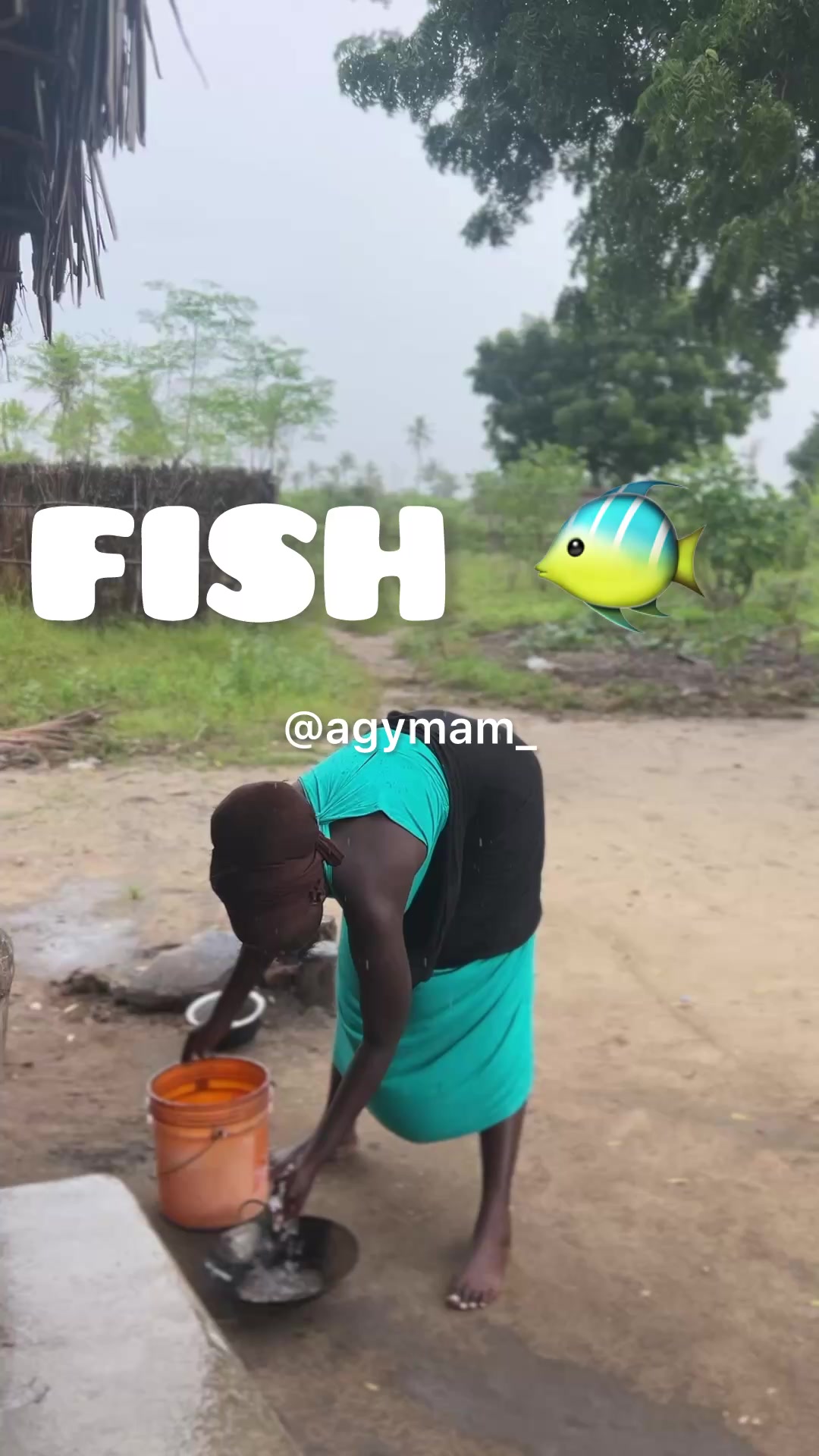 @Agymam1