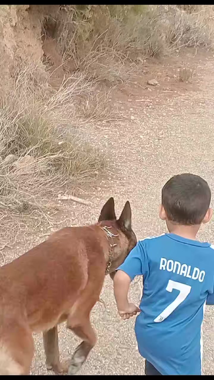 @امين