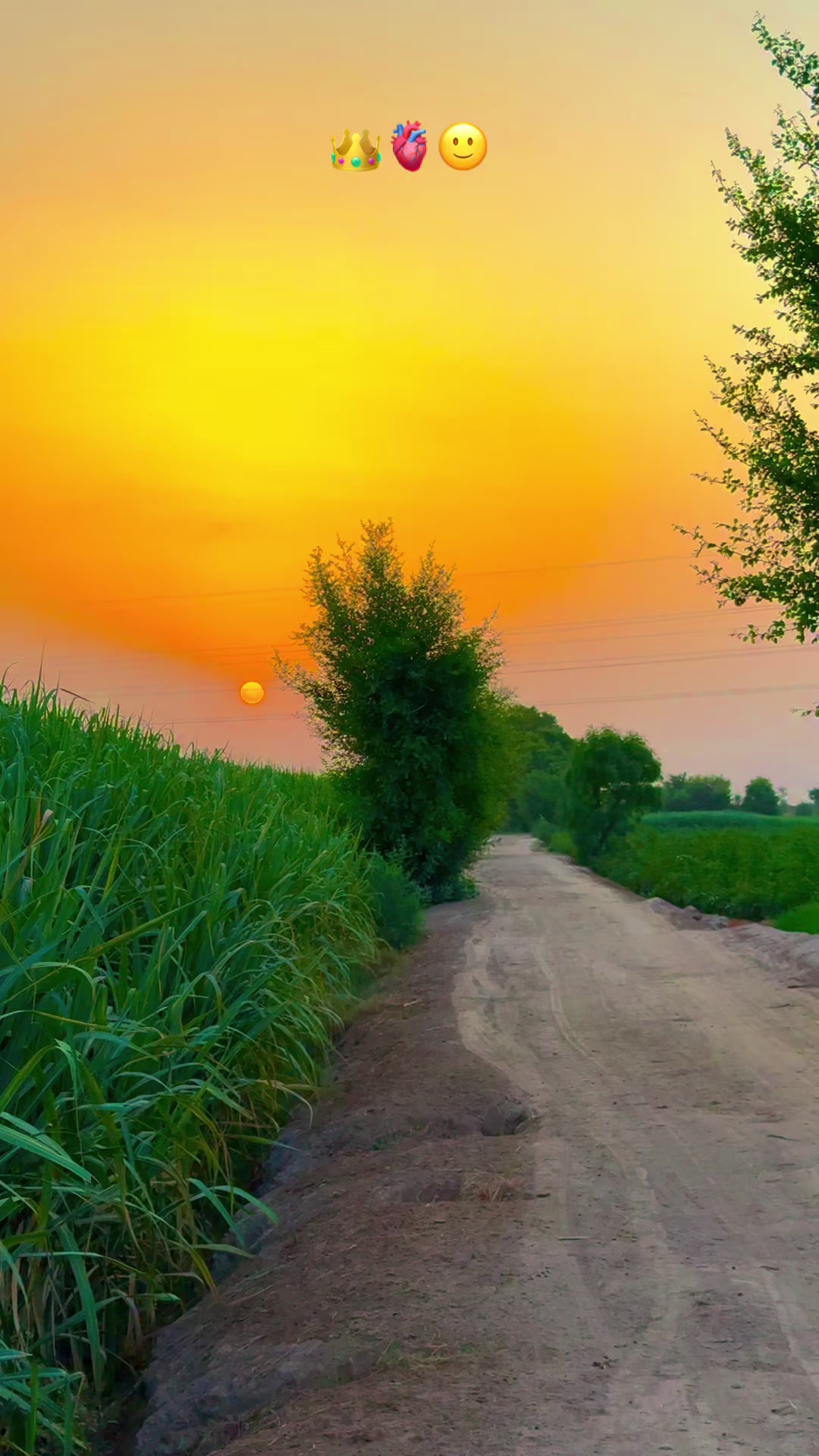 @پنجابی کلچر 🌾🍂
