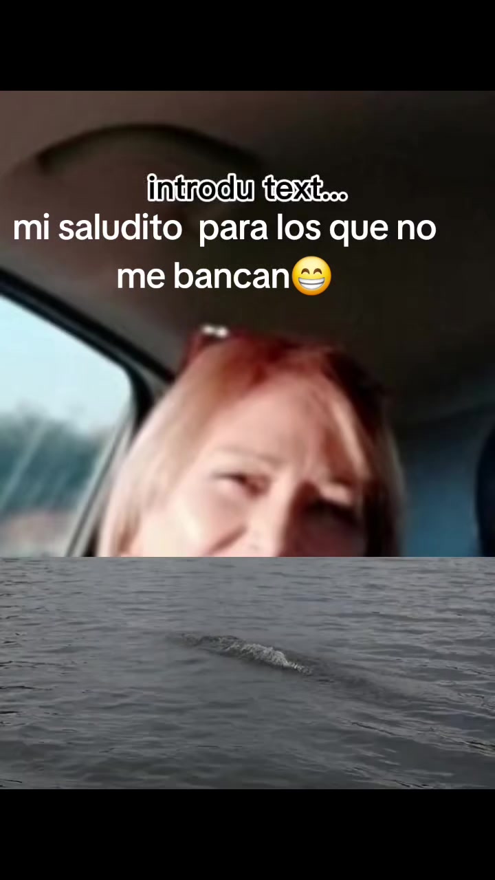 @Miriam Zapata🗨