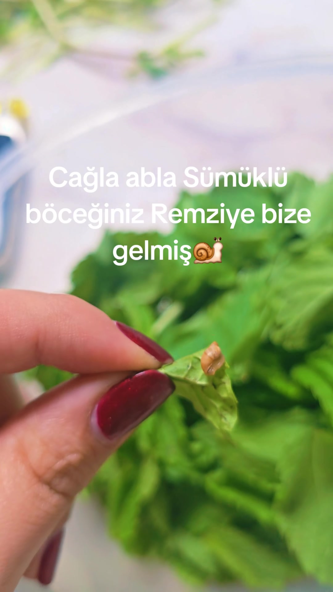 @Madina.Nails