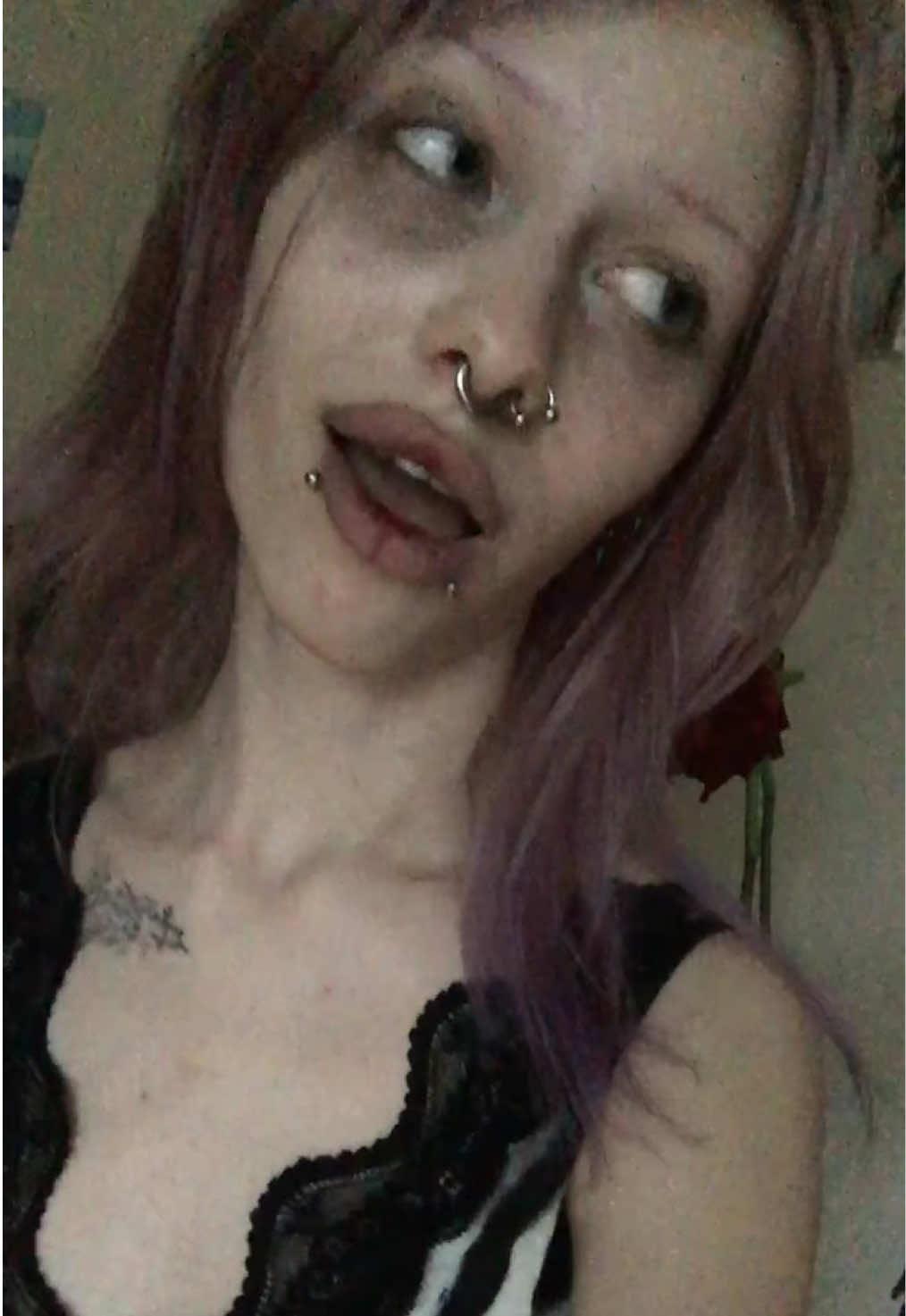 @mahaebala