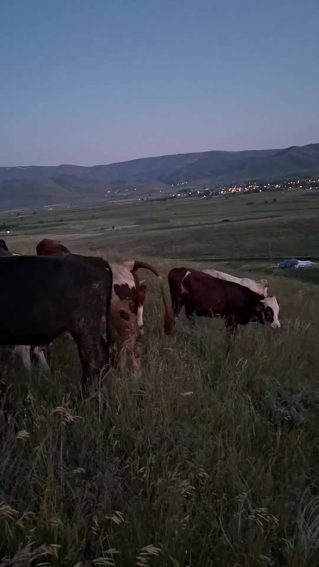 @murat coşkun