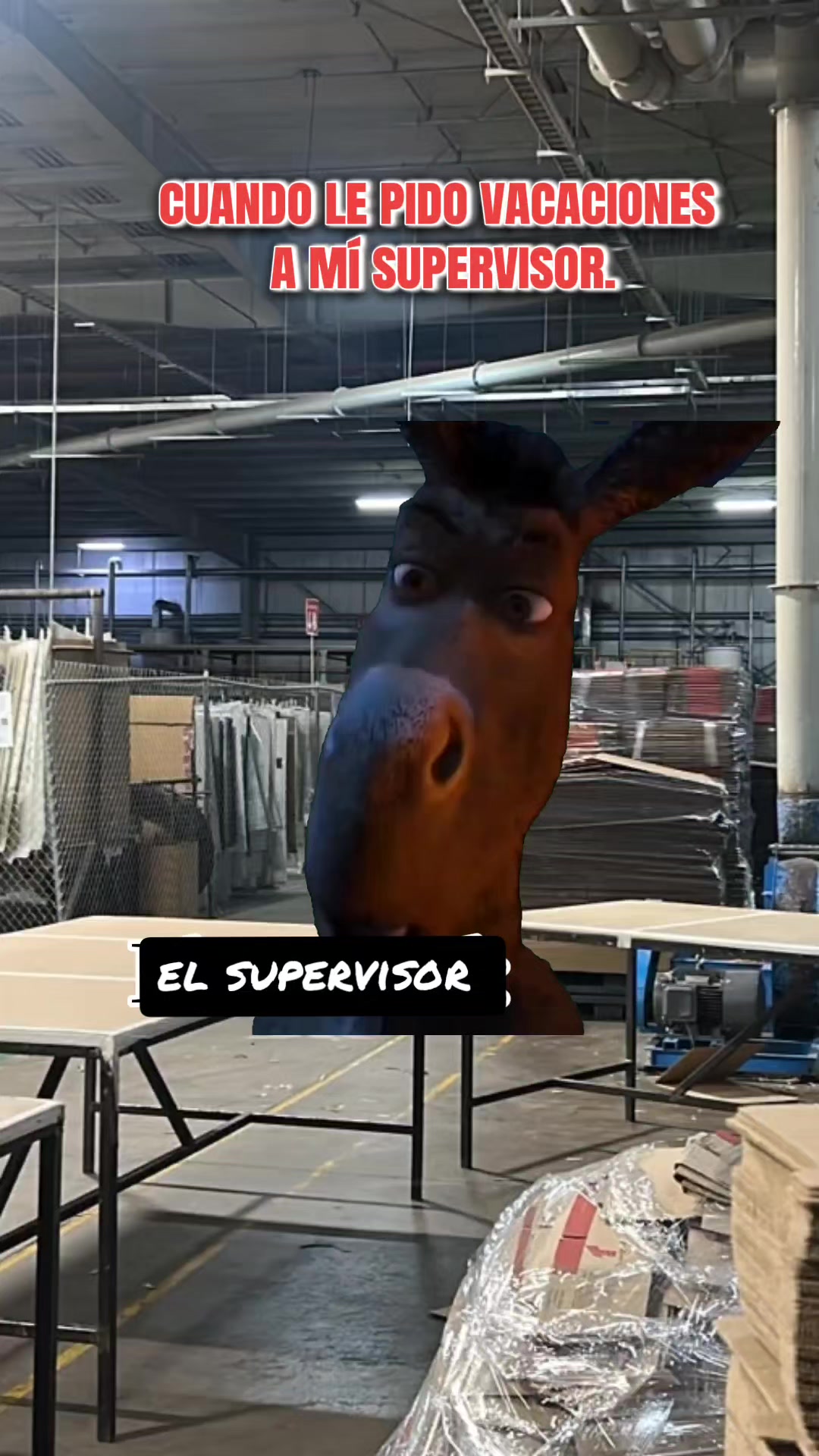 @gansomartinez21