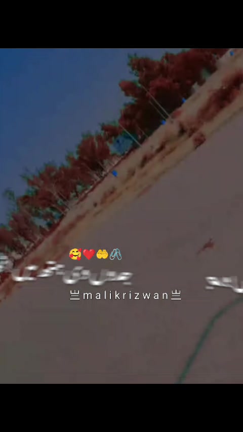 @Syed zada Hakam shamsi