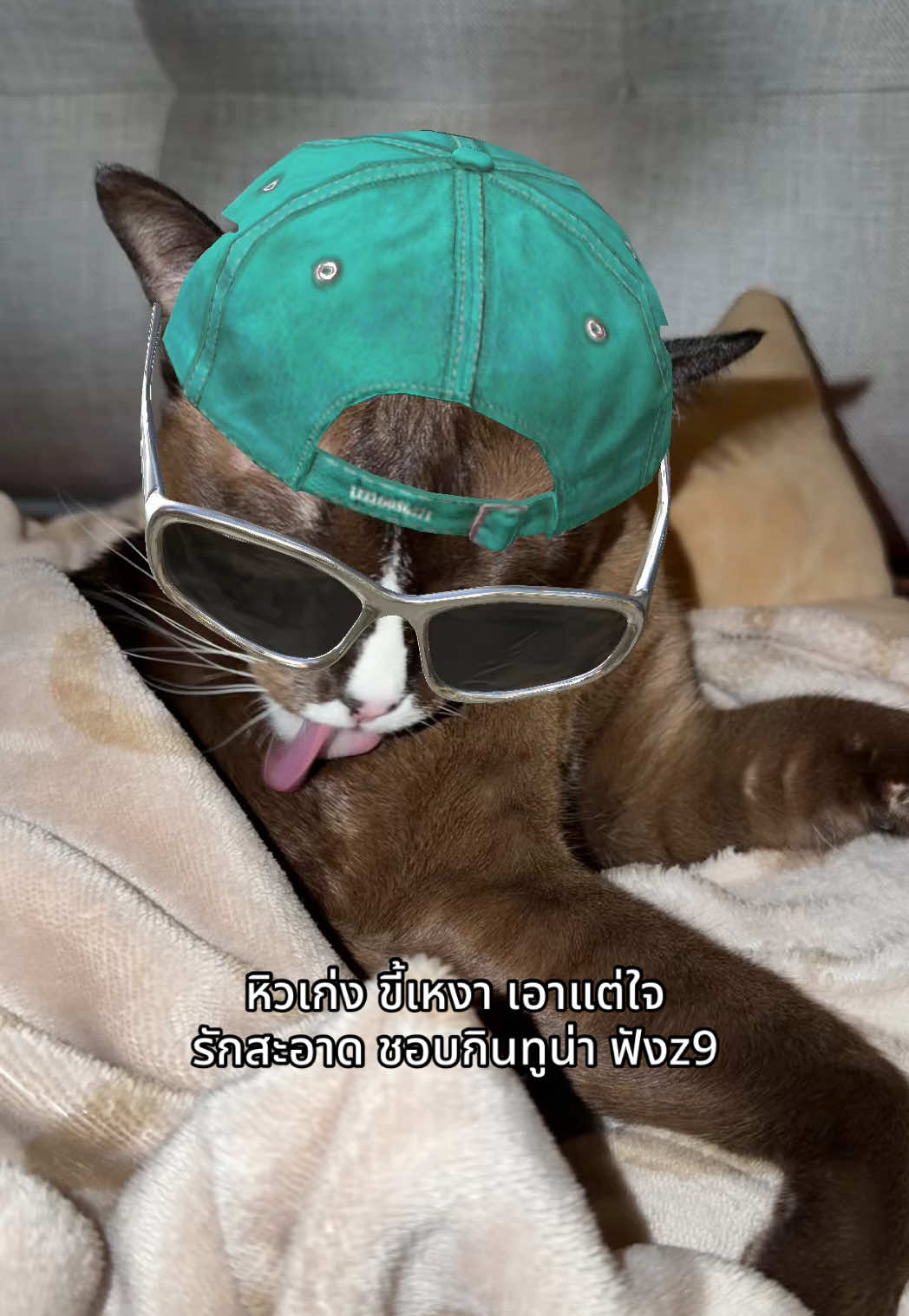 @จ๊ะจ๋าที่เอาไฮเตอร์แช่ตู้เย็น