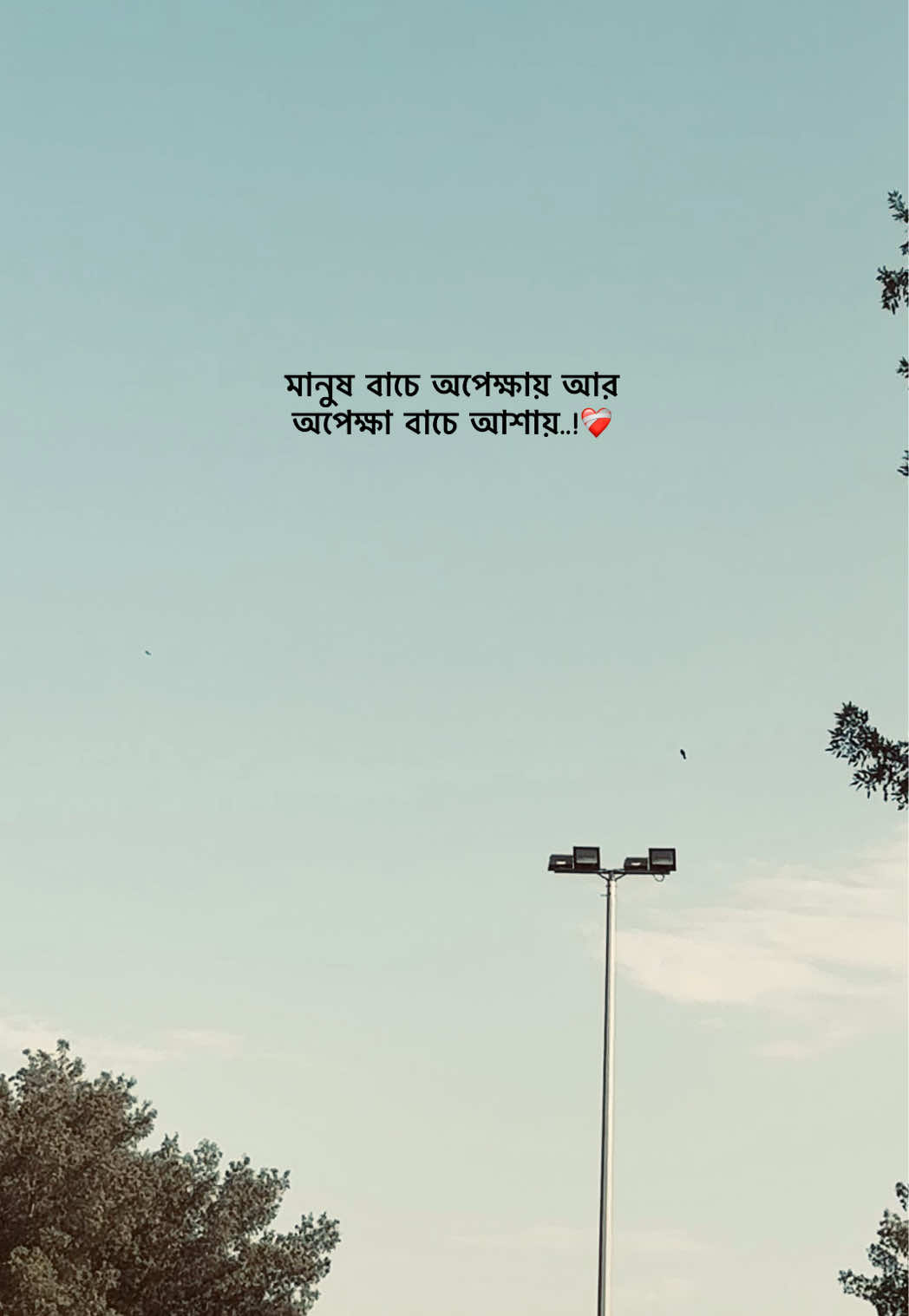 @𝐒𝐈 𝐘 𝐀𝐌 