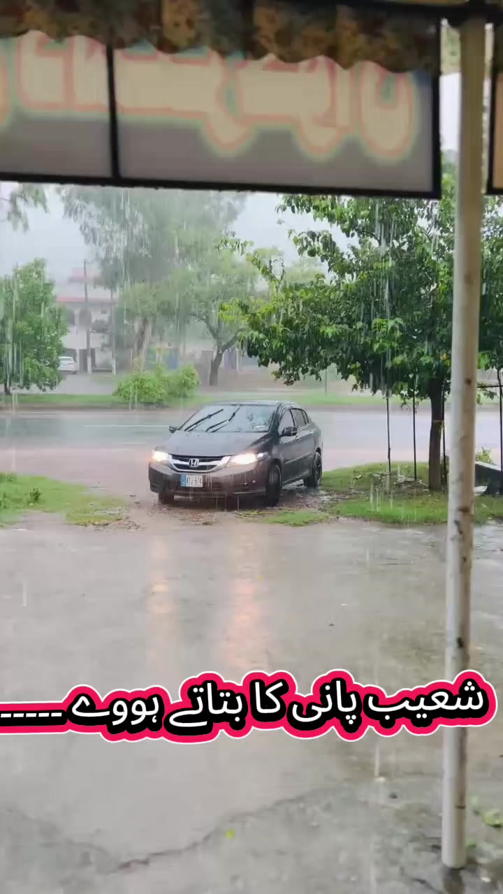 @Shahzad Raja