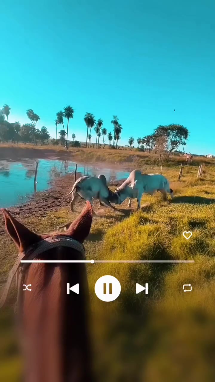 @JIMMY GARCÍA 🇨🇴🤠🐄🐂