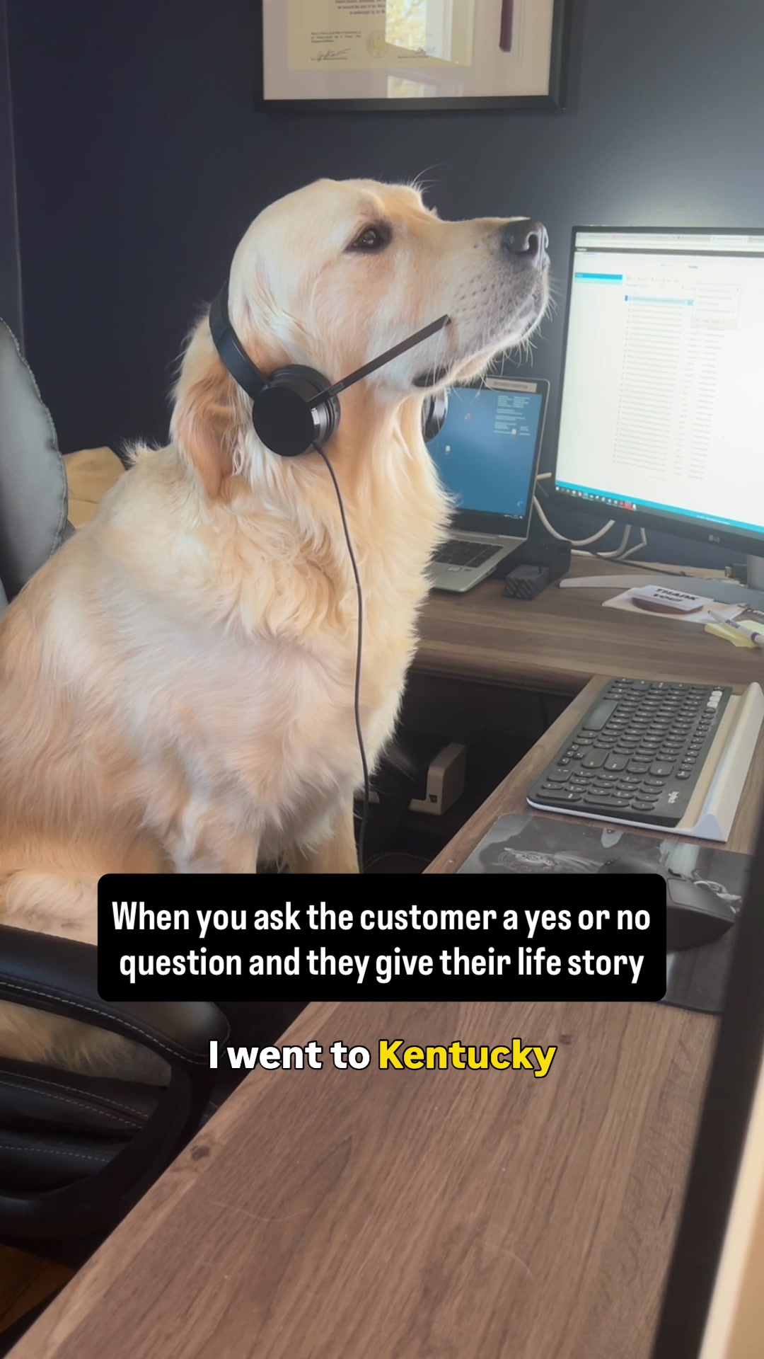 @Rigatoni The Golden
