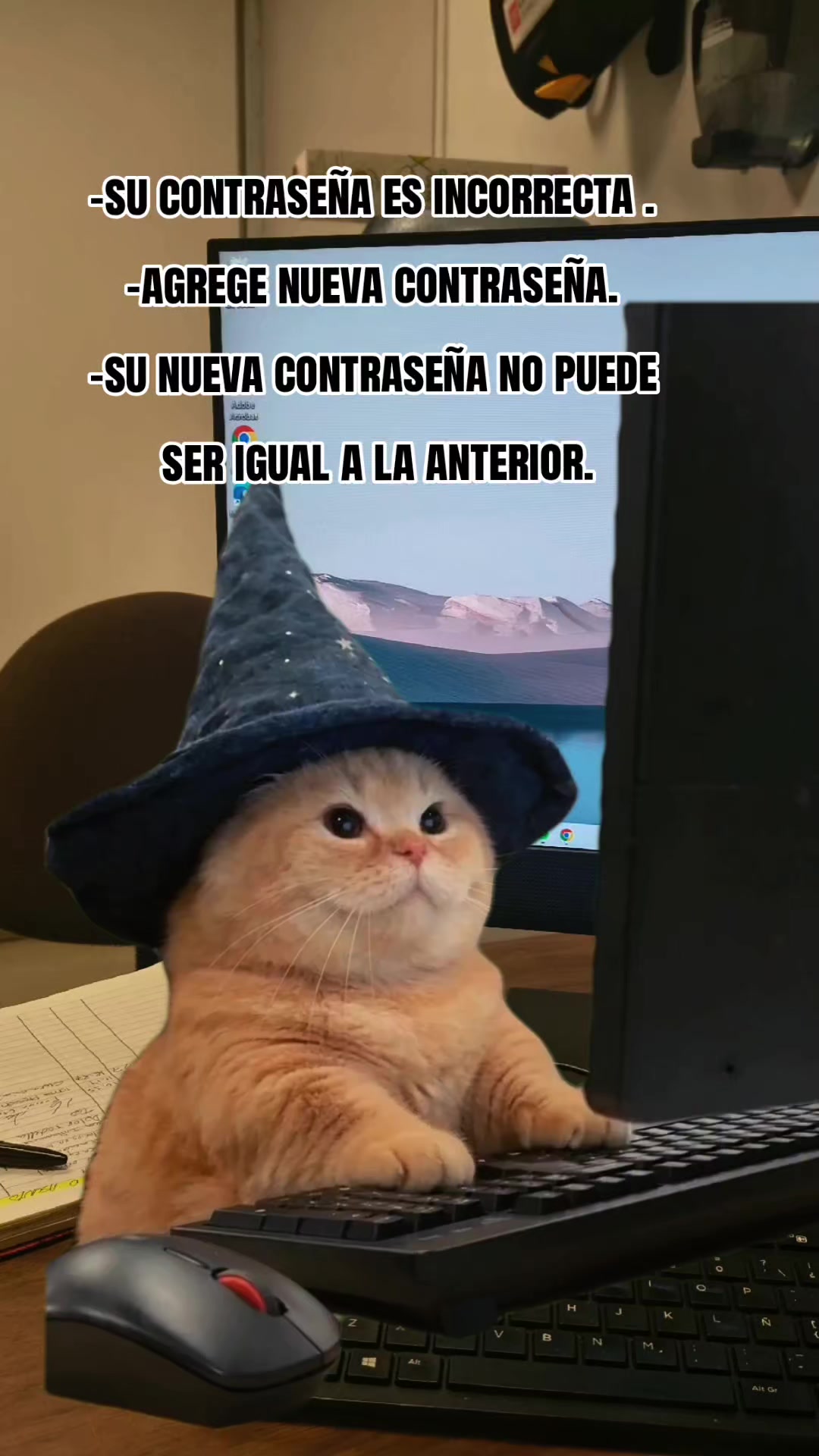 @faty
