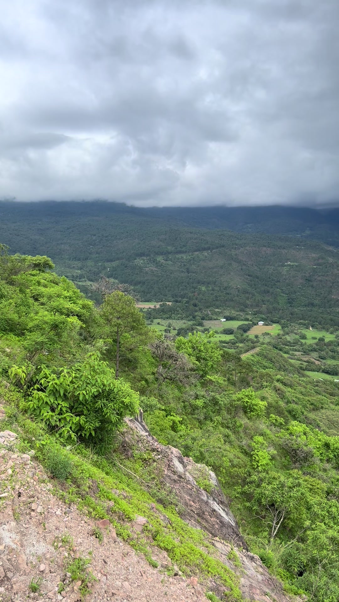 @Moy Osuna
